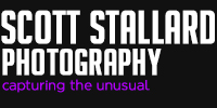 Scott Stallard Photography