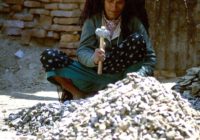 Untitled (15) copy 2