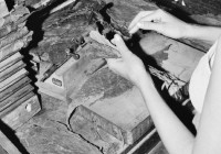 Autosave-File vom d-lab2/3 der AgfaPhoto GmbH