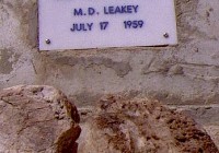 STIGWOOD (28) STIGWOOD (28)