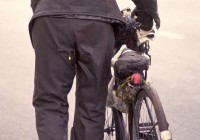 TOMMY TUCKER copy TOMMY TUCKER copy