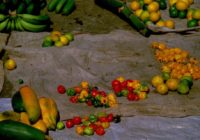 Untitled (11) copy 3 Untitled (11) copy 3