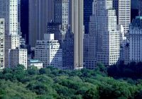 Untitled (113) Untitled (113)