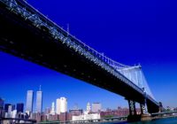 Untitled (16) copy Untitled (16) copy