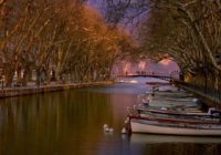 Untitled (17) copy Untitled (17) copy