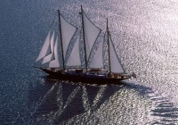 Untitled (18) copy Untitled (18) copy