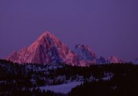 Untitled (19) copy Untitled (19) copy