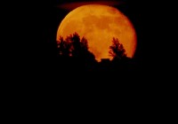 Untitled (2) Untitled (2)