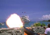 Untitled (239) Untitled (239)