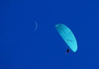 Untitled (24) Untitled (24)