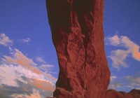 Untitled (245) Untitled (245)