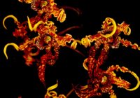 Untitled (25) copy 4 Untitled (25) copy 4