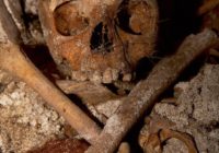 Untitled (26) Untitled (26)