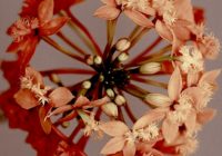 Untitled (26) copy 3 Untitled (26) copy 3