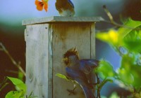 Untitled (27) Untitled (27)