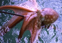 Untitled (272) Untitled (272)