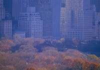 Untitled (287) Untitled (287)