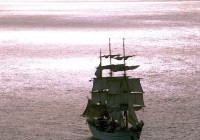 Untitled (307) Untitled (307)