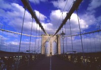 Untitled (310) Untitled (310)