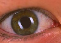 Untitled (32) Untitled (32)