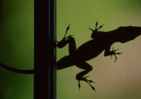 Untitled (325) Untitled (325)