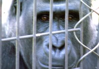 Untitled (329) Untitled (329)