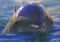 Untitled (38) Untitled (38)