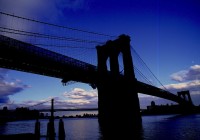 Untitled (427) Untitled (427)