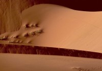 Untitled (43) Untitled (43)