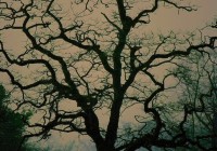 Untitled (431) Untitled (431)