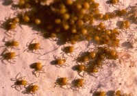 Untitled (435) Untitled (435)