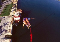 Untitled (441) Untitled (441)