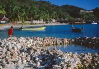 Untitled (50) copy 2 Untitled (50) copy 2