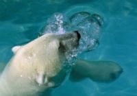 Untitled (62) Untitled (62)