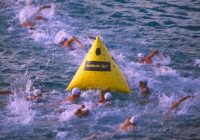 Untitled (66) Untitled (66)