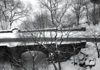 Untitled (66) copy 2 Untitled (66) copy 2