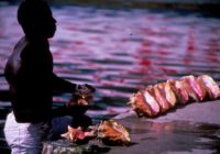 Untitled (7) copy 4 Untitled (7) copy 4