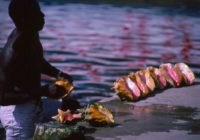 Untitled (73) copy Untitled (73) copy