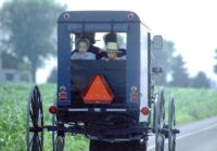 Untitled (78) Untitled (78)