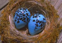 Untitled (84) Untitled (84)