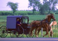 Untitled (87) Untitled (87)