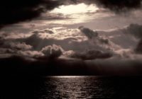 Untitled (89) Untitled (89)