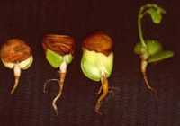 Untitled (92) Untitled (92)