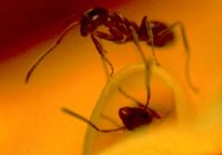 Untitled (95) Untitled (95)