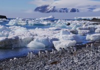 DSC09158 2 DSC09158 2