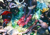 9142610108819-0005 copy