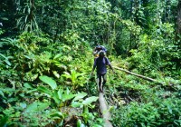 9142610108819-0025 copy