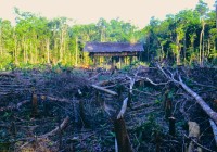 9142610108819-0056 copy