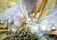 9142610108819-0061 copy