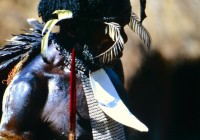 9142610108819-0162 copy